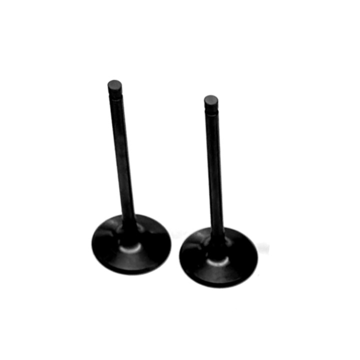 Polaris Sportsman 550 (09-14) Exhaust Valve Kit