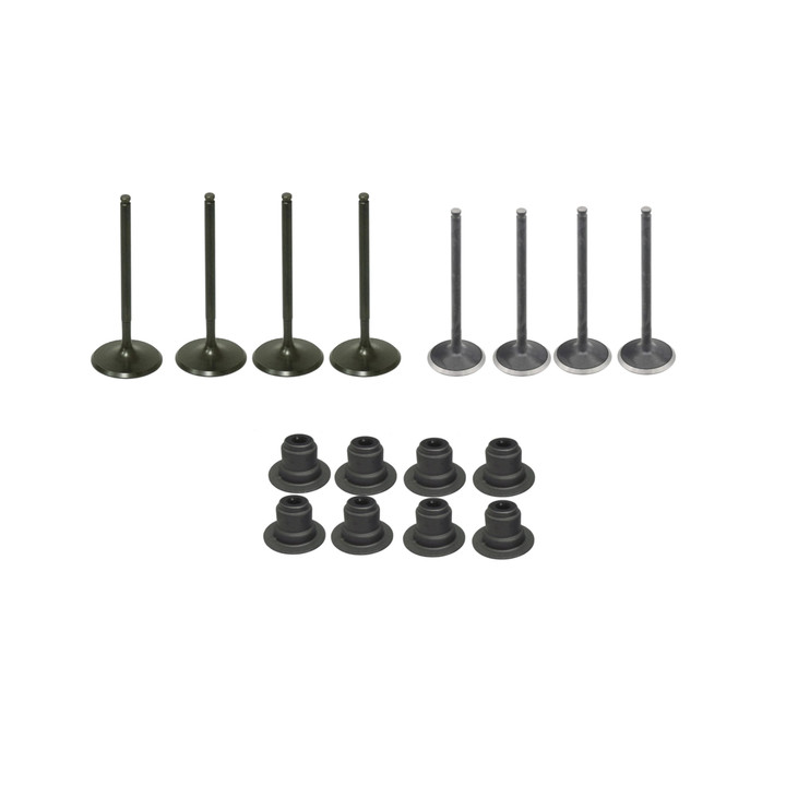 Polaris Xpedition NorthStar Ultimate ADV/XP Complete Valve Kit 2024-2026