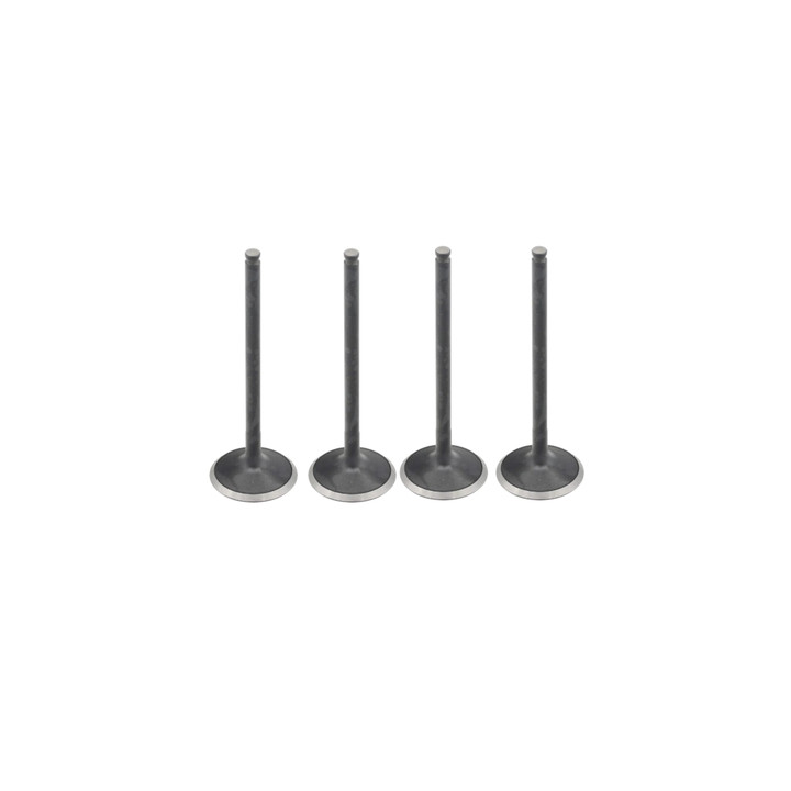 Polaris Xpedition NorthStar Ultimate ADV/XP Exhaust Valve Kit 2024-2026