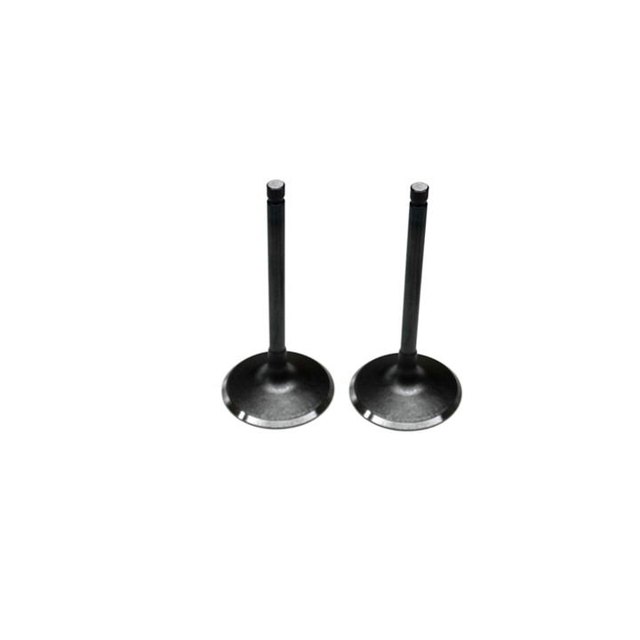 Yamaha Grizzly 700 (2019-2023) Intake Valve Kit