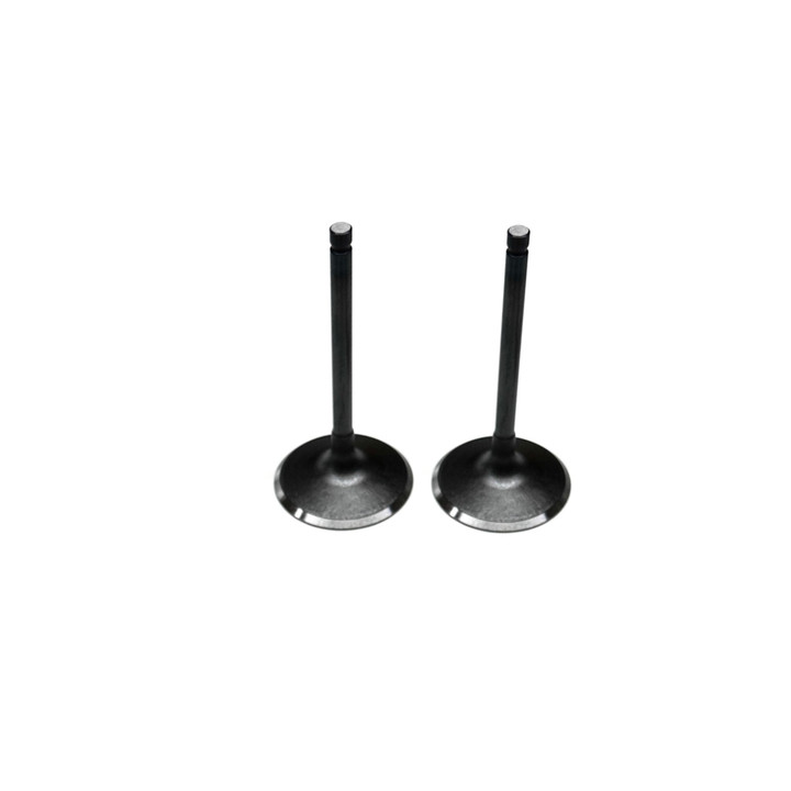Yamaha Kodiak 700 Intake Valve Kit 2019-2021