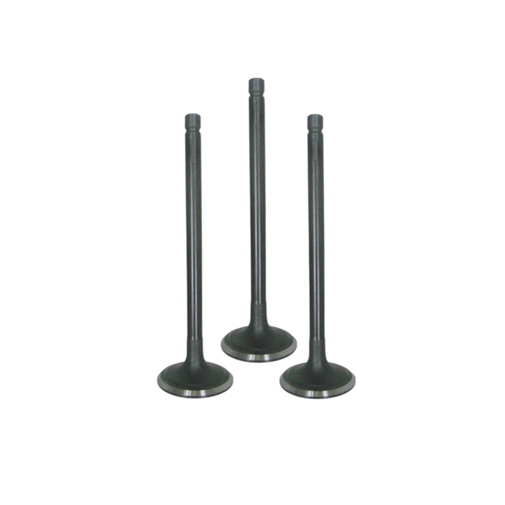 Yamaha Raptor 660R Intake Valve Kit 2002-2005