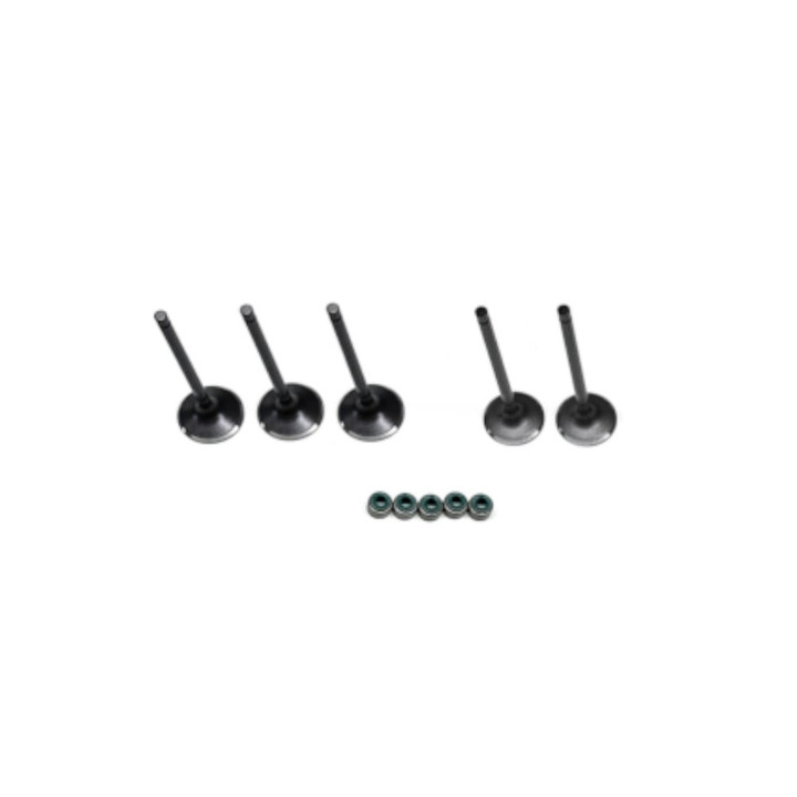 Yamaha Rhino 660 Complete Valve Kit 2004-2007