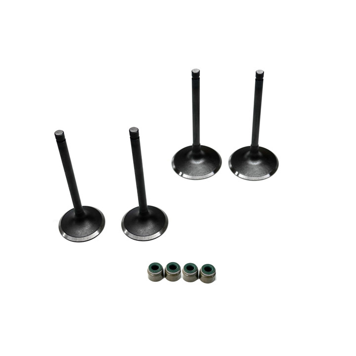 Yamaha Viking 700 19-23 Complete Valve Kit