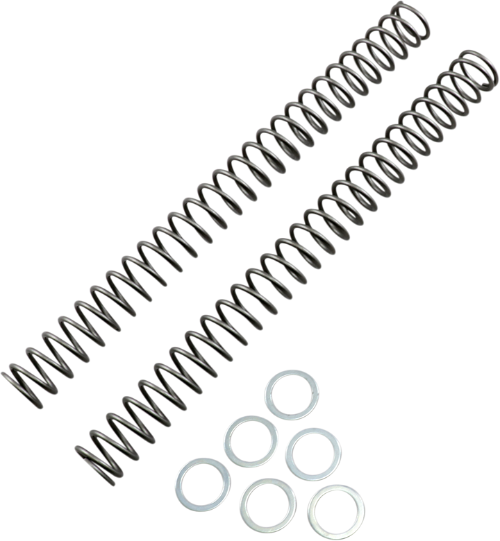 Race Tech Fork Springs - 0.38 Kg/Mm FRSP 444738