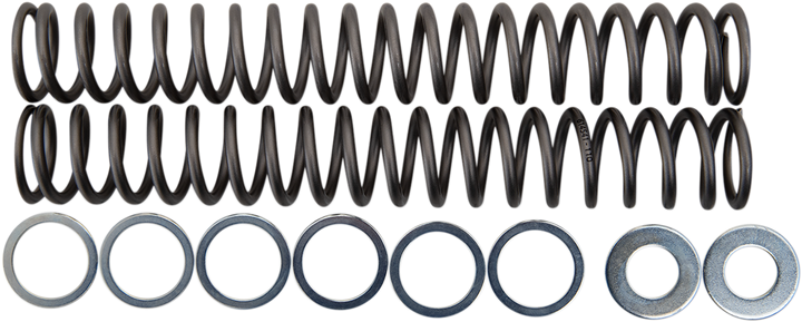 Race Tech Fork Springs - 1.10 Kg/Mm FRSP S4430110