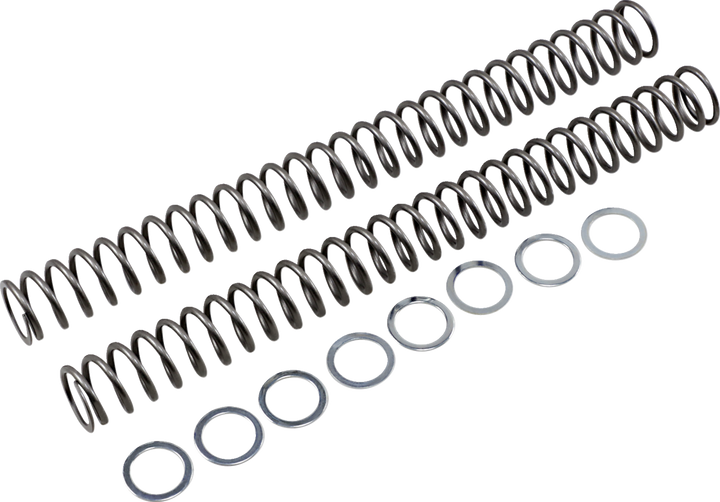 Race Tech Fork Springs - 0.48 Kg/Mm FRSP 454748