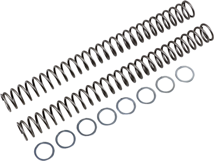 Race Tech Fork Springs - 0.52 Kg/Mm FRSP 454752