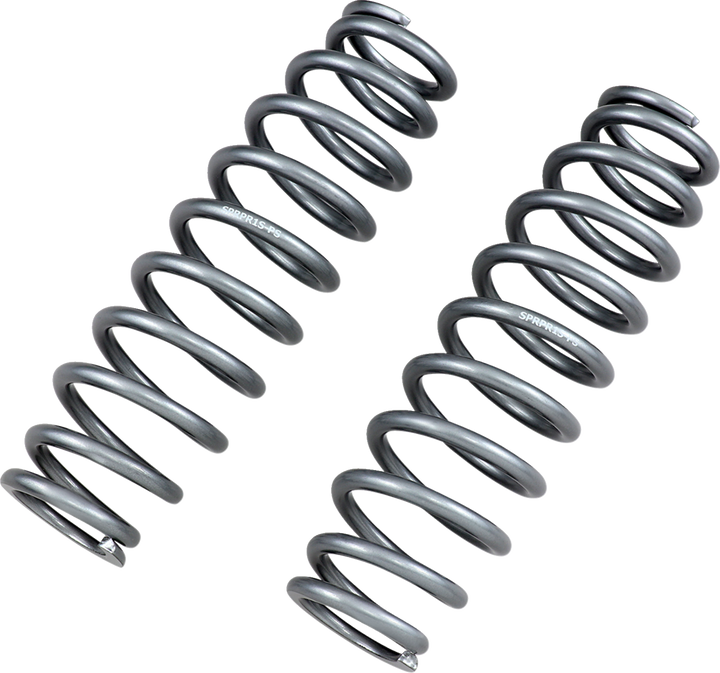 High Lifter Shock Springs - Rear - Silver 79-13830