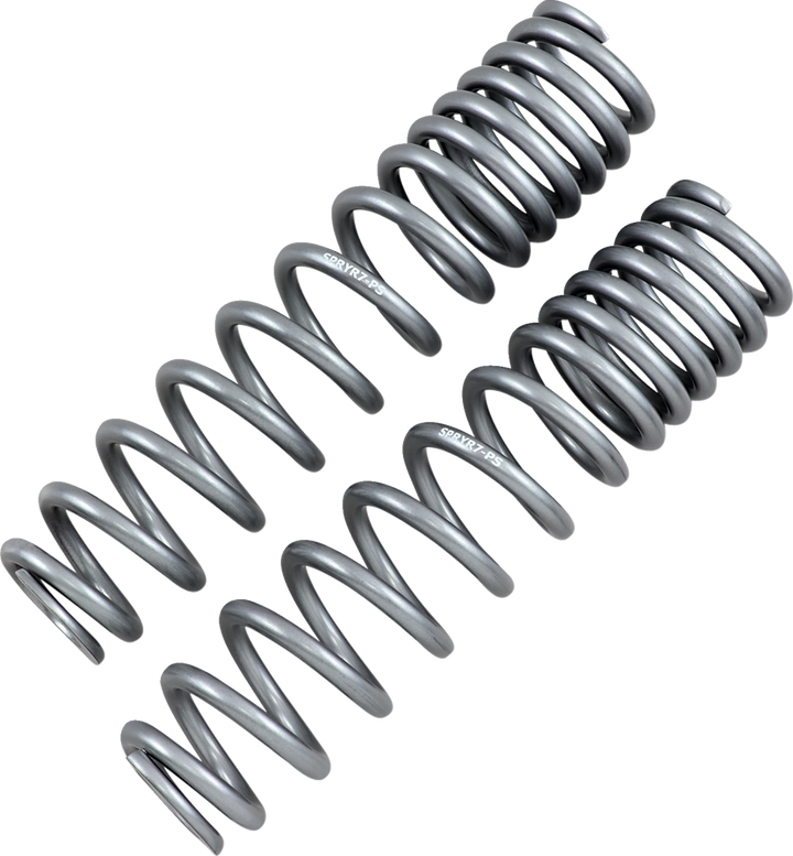 High Lifter Shock Springs - Rear - Silver 79-13869