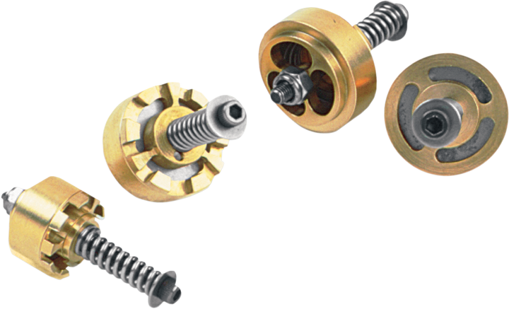 Race Tech Gold Valve Cartridge Fork Emulators For Damping Rod Forks - 22.70 Mm FEGV 2901
