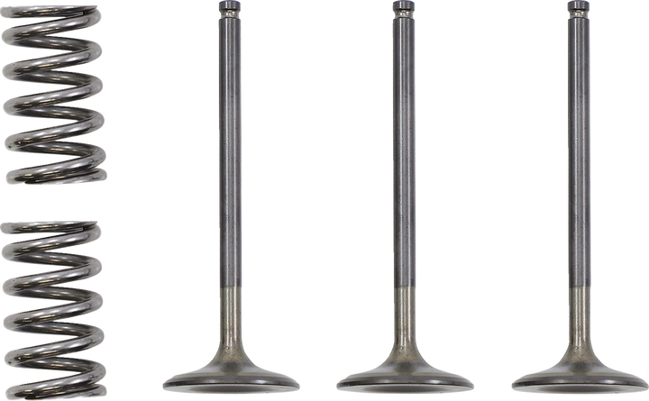 Prox Valve And Spring Kit - Intake - Gas Gas | Yamaha 28.SIS2424-2