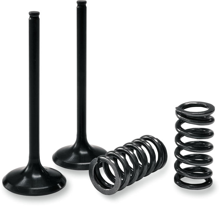 Prox Valve And Spring Kit - Exhaust - Kawasaki 28.SES4406-1