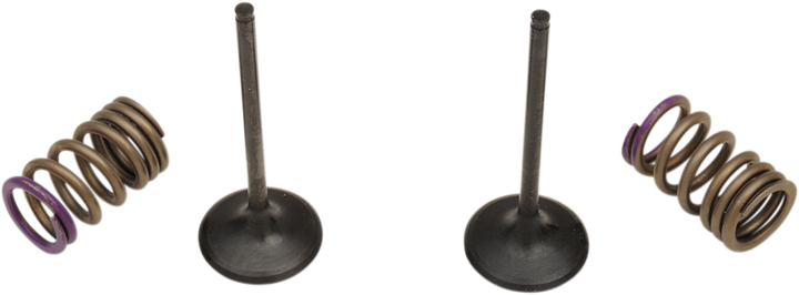 Prox Valve And Spring Kit - Intake - Kawasaki 28.SIS4338-2