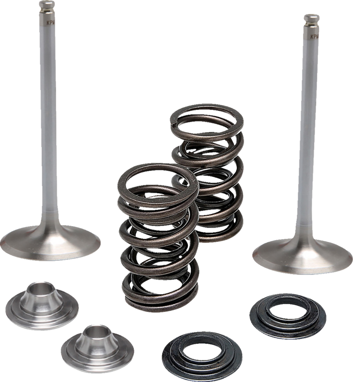 Moose Offroad Valve And Spring Kit - Intake - Suzuki M60-62150