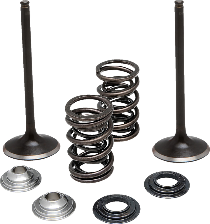 Moose Offroad Valve And Spring Kit - Intake - Suzuki M60-62250