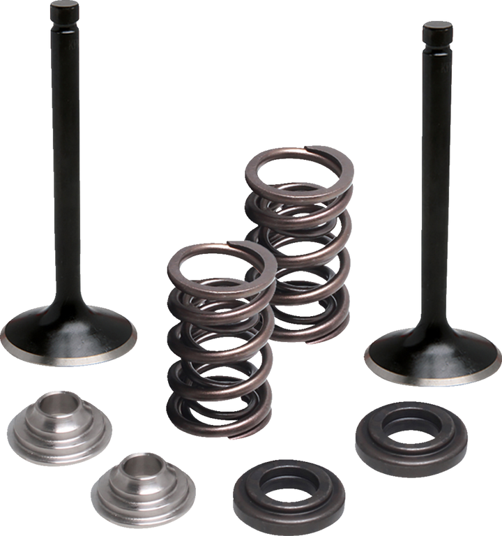 Moose Offroad Valve And Spring Kit - Exhaust - Yamaha M80-83060