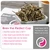 Fusion Teas Silver Needle White Tea - Steeping