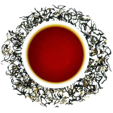 Get To Know Your Fusion Tea Types