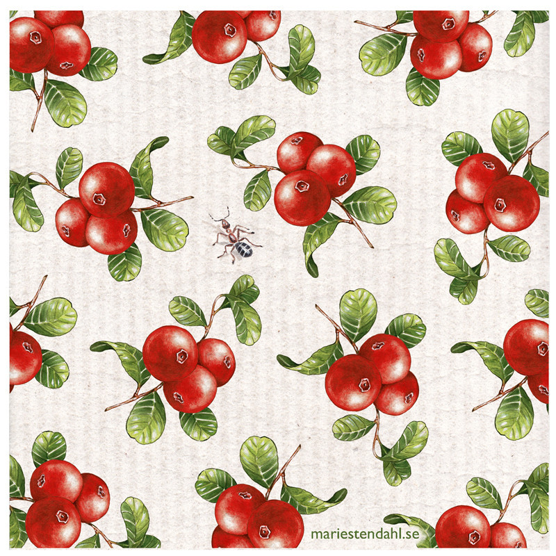 Marie Stendahl Dishcloth