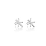 Silver star-shaped stud earrings, angled view, reflective surface, white background.