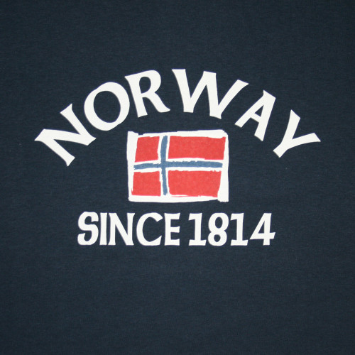 Navy t-shirt with "Norway Since 1814" and Norwegian flag graphic.