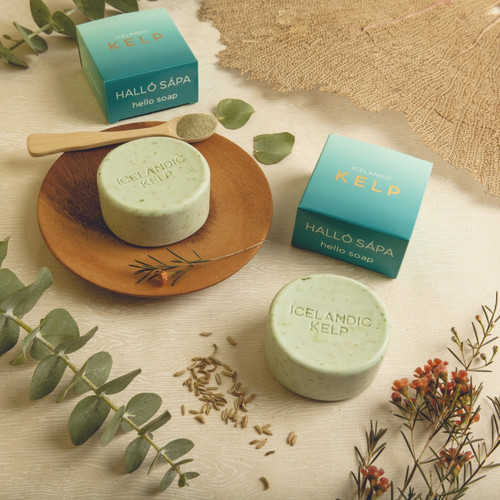 Two bars of green Icelandic kelp soap, boxes, eucalyptus leaves, and fennel seeds on a tan surface.