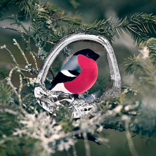 Maleras | Nordic Gift Glass - ScandinavianShoppe.com