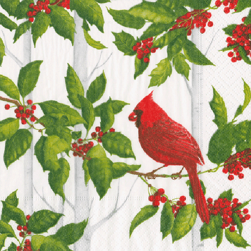 Holly and Songbirds Paper Luncheon Napkins - 20 Per Package (17550L)