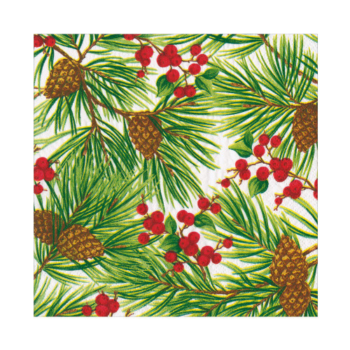 Pine branches with pinecones and red berries on white background