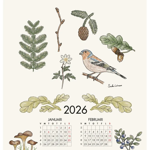 Watercolor-style botanical illustrations of leaves, a bird, and January/February 2026 calendars.