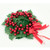 Candle Ring - Holly Berries Ribbon - 4" (E343-R)