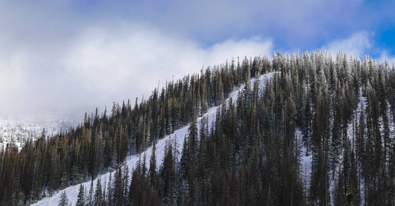 The Nordic Origins of Skiing