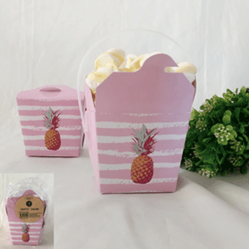 3pk Pink Troppo Party Boxes