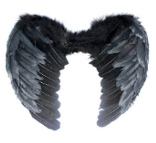 Angel Wing (Medium) (Black)