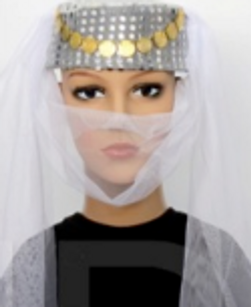 Princess Veil Hat (White)