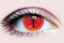 Jurassic II Contact Lenses