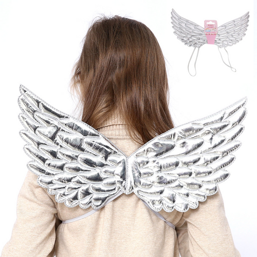 SILVER ANGEL WINGS