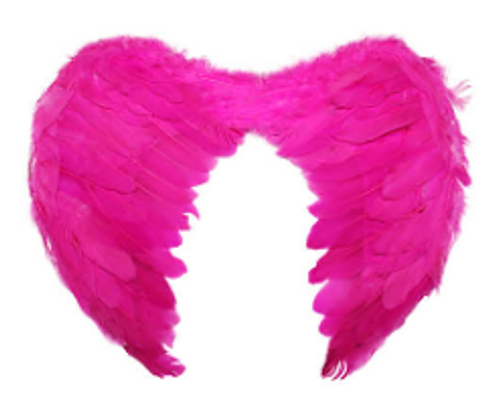 Angel Wing (Small) (Hot Pink)