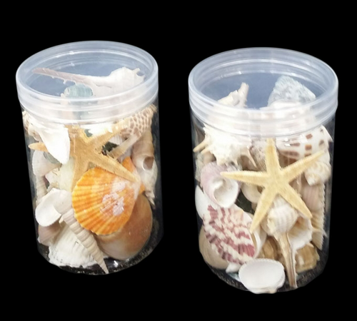 VASE DECO - SEASHELLS ASST IN PLASTIC CONTIANER 8.5X12CM