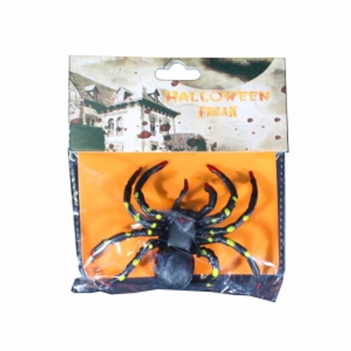 LARGE SPIDER ON HEADER CARD