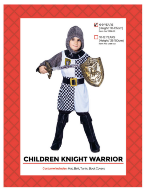 Children Knight Warrior Costume (6-9 years)