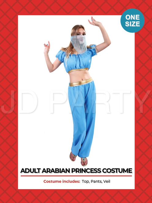 Adult Arabian Princess Costume