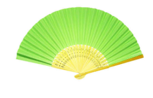 Small Paper Colour Fan (Green)