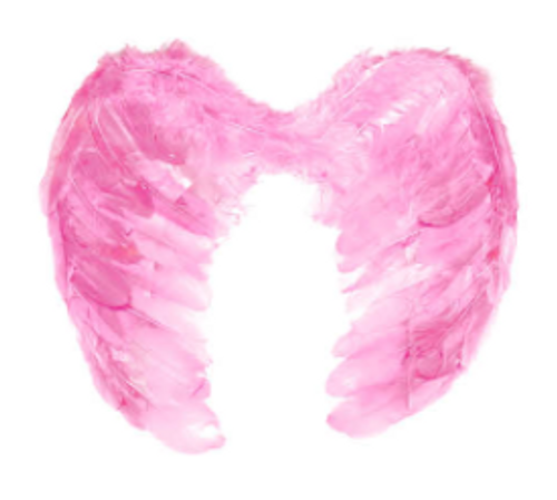 Angel Wing (Medium) (Pink)