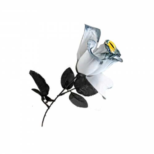 ROSE STEM W/CATS EYE 3X3X43CM ROSE STEM W/CATS EYE 3X3X43CM