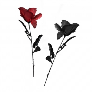 2 ASSORTED RED AND BLACK ROSES 6X6X43CM