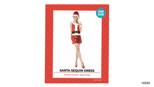 Adult Christmas Sequin Dress (Santa)
