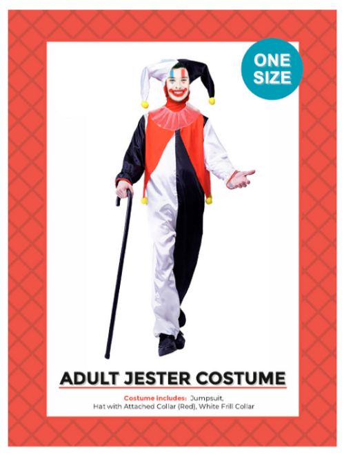 Adult Jester Costume (A0015) Adult Jester Costume (A0015)