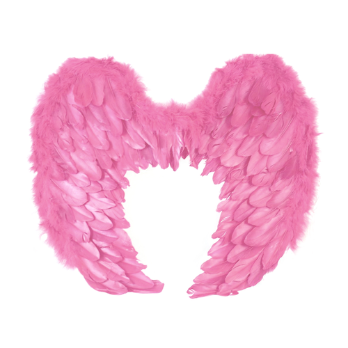 SOFT PINK  CURVED FEATHER WINGS   IN POLYBAG W/HEADER CARD